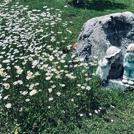 ゲストハウス Wolf ボーヒニ