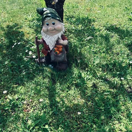 ゲストハウス Wolf ボーヒニ