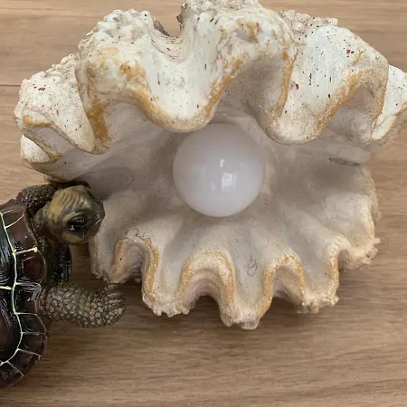 ゲストハウス Wolf ボーヒニ