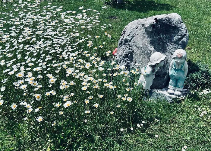 ゲストハウス Wolf ボーヒニ